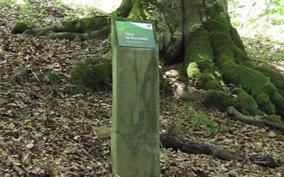 Los vecinos de Ausejo ya pueden disfrutar del nuevo Mirador de Parramera.