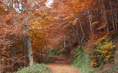 Proyecto de Senderos de la Mancomunidad de Anguiano, Matute y Tobía