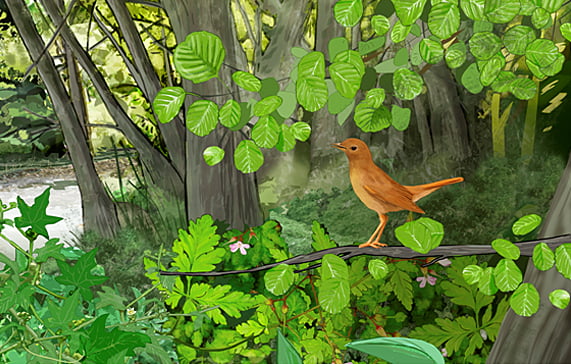 La importancia de la ilustración en la señalización interpretativa