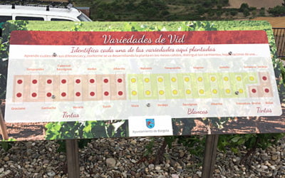 Colocación de mesa interpretativa en Bargota